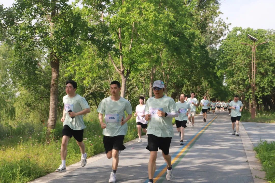 1747990246873582.jpg 10.jpg