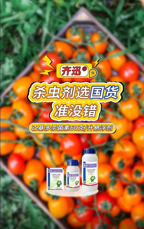 1748917757899688.jpg 8.jpg