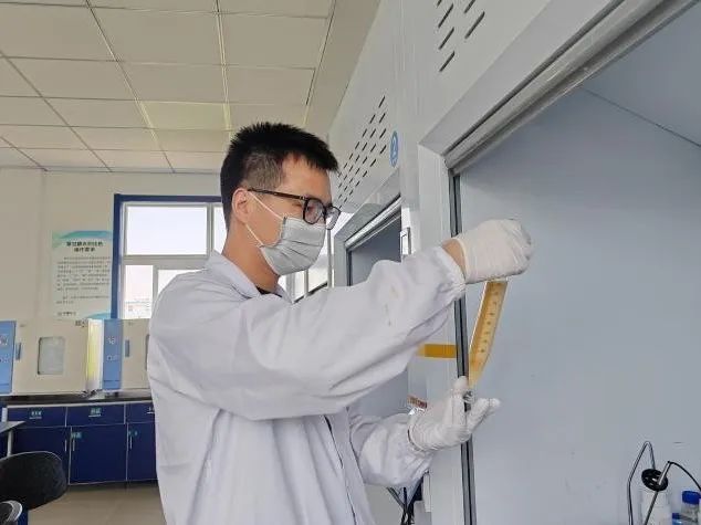 1749552020610441.jpg 4.jpg