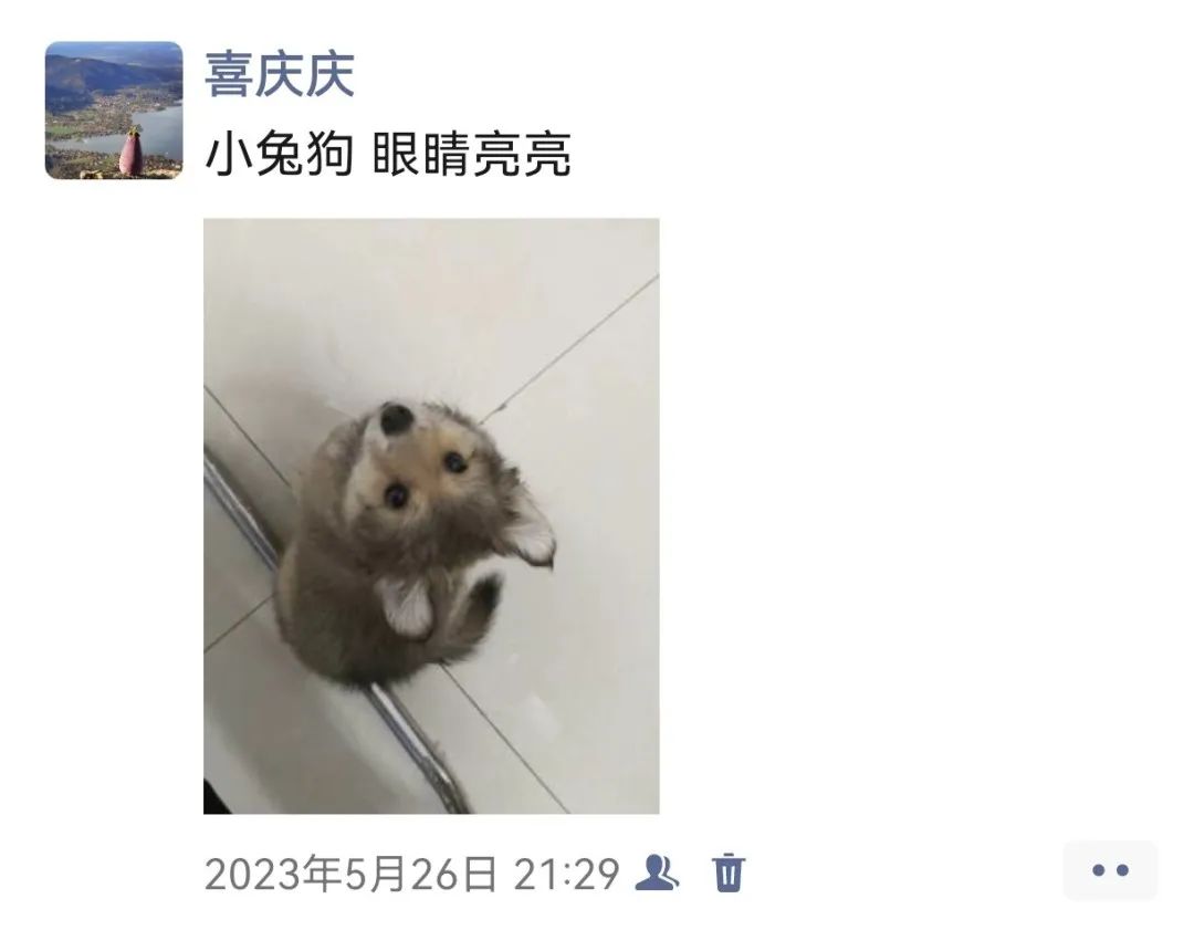 1752109947863424.jpg 1-5.jpg