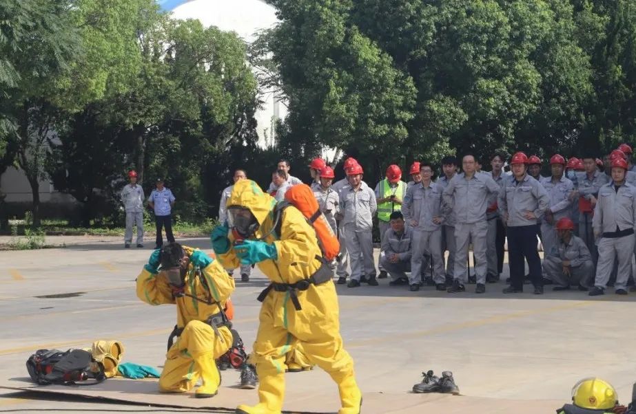 1752631153485190.jpg 3.jpg