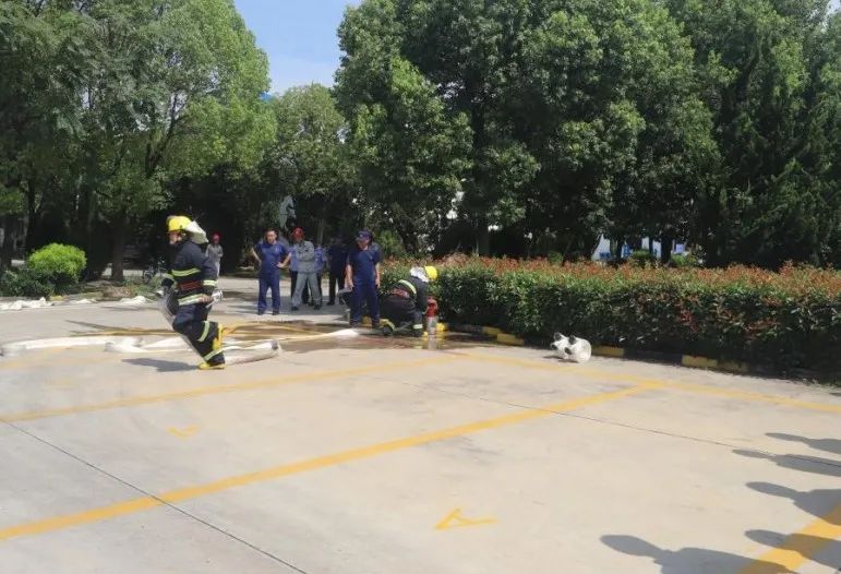 1752631188989435.jpg 7.jpg