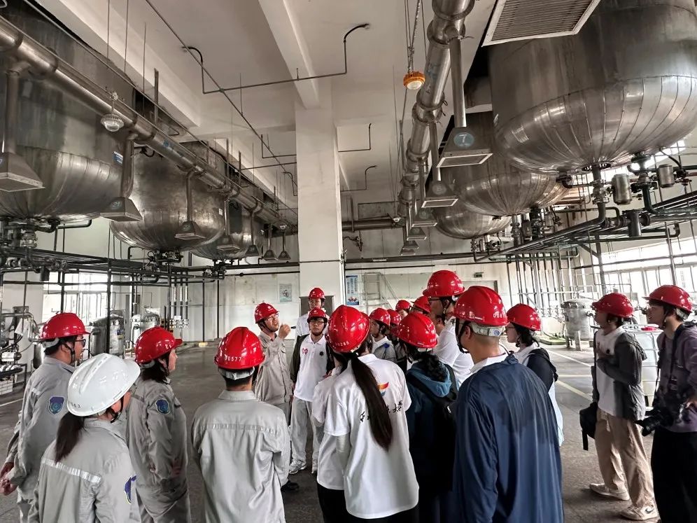 1756257225290335.jpg 2.jpg